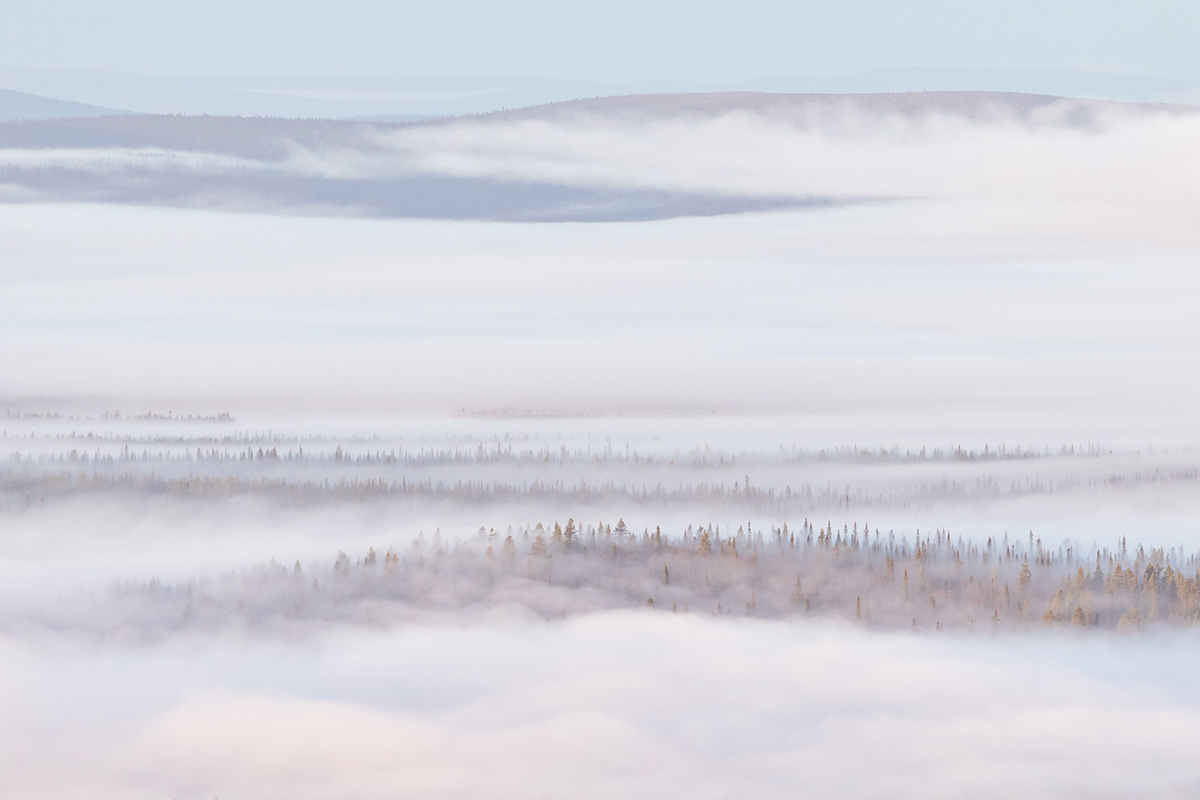 Sápmi - Living Landscapes