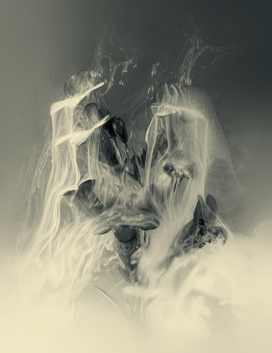 Maelstrom