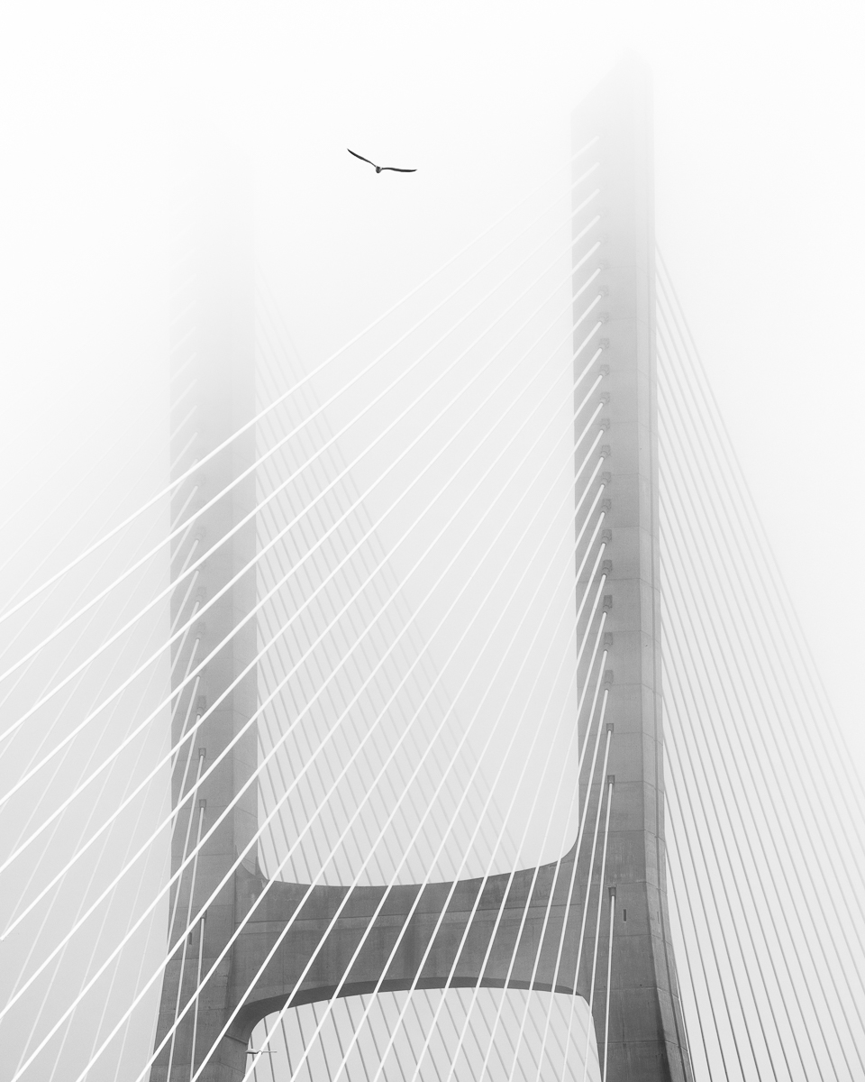 Flying high