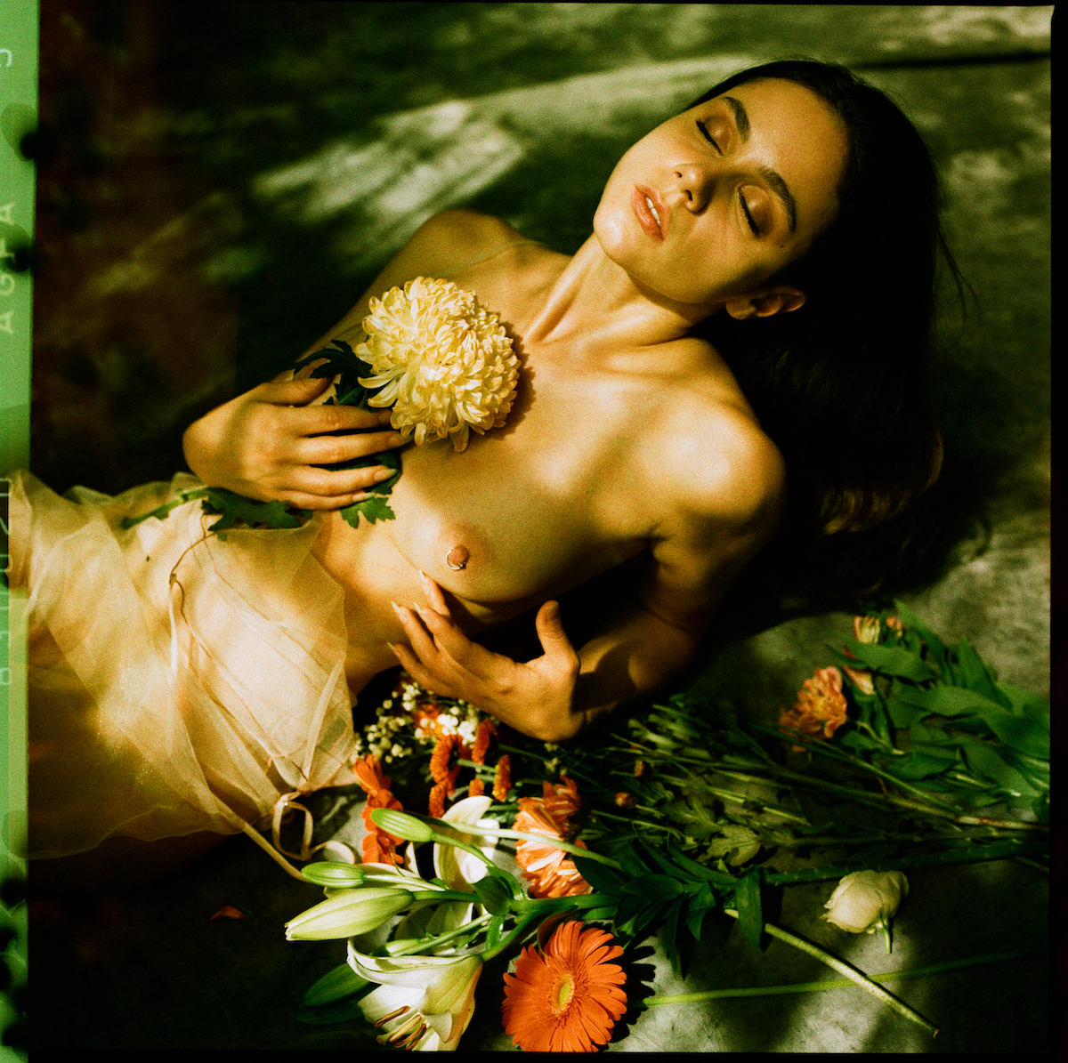 Floraphile