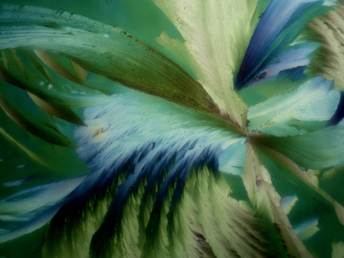 Stargazer