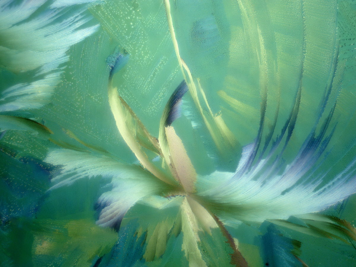Stargazer