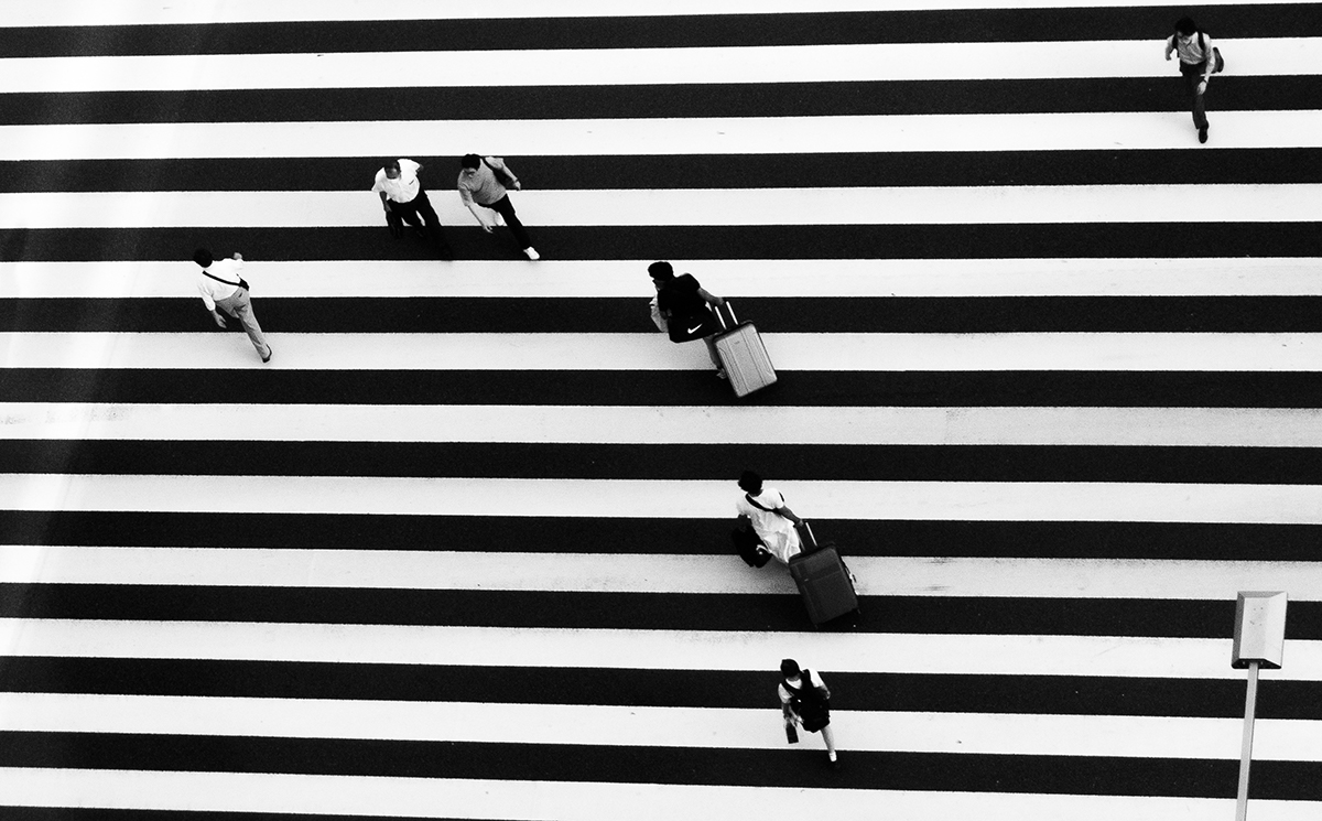 Tokyo Grid