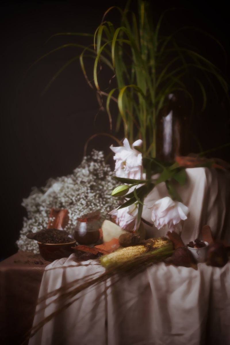 Still Life Under the Rubble