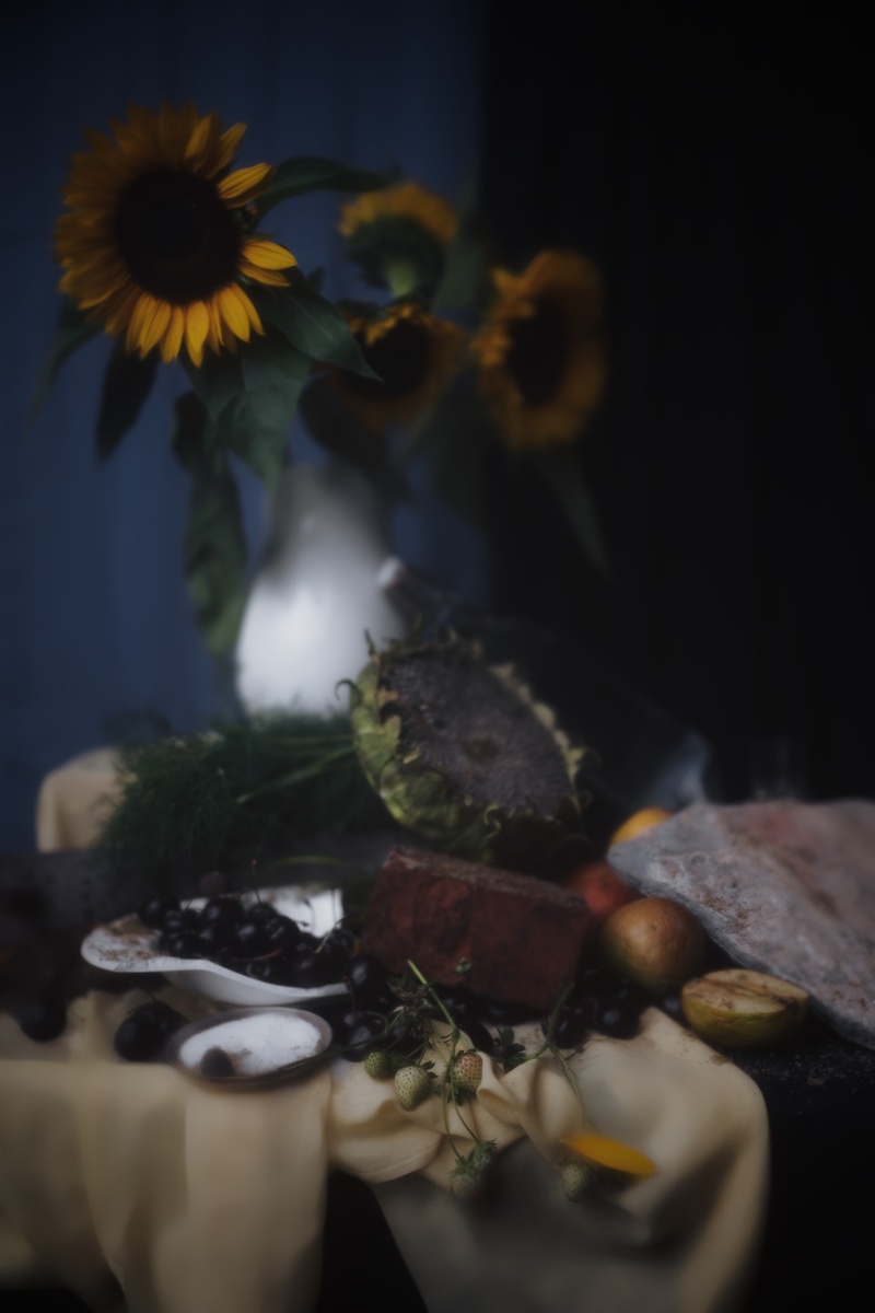 Still Life Under the Rubble