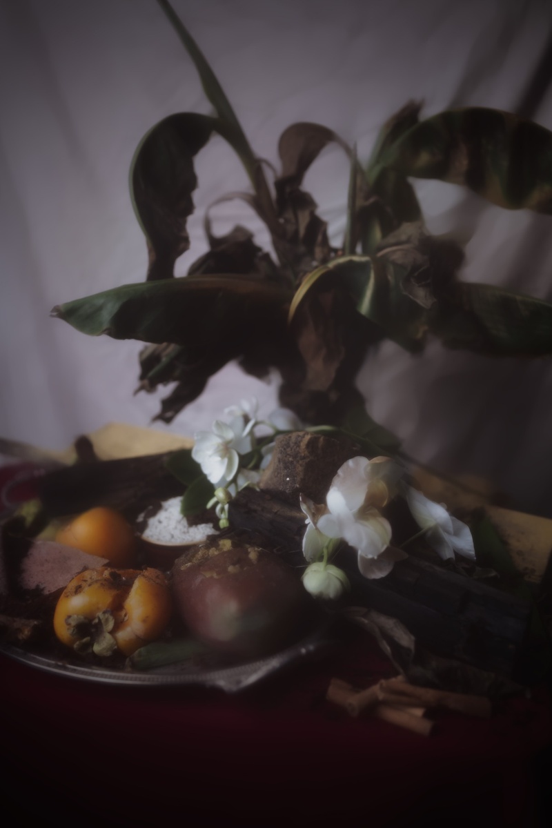 Still Life Under the Rubble