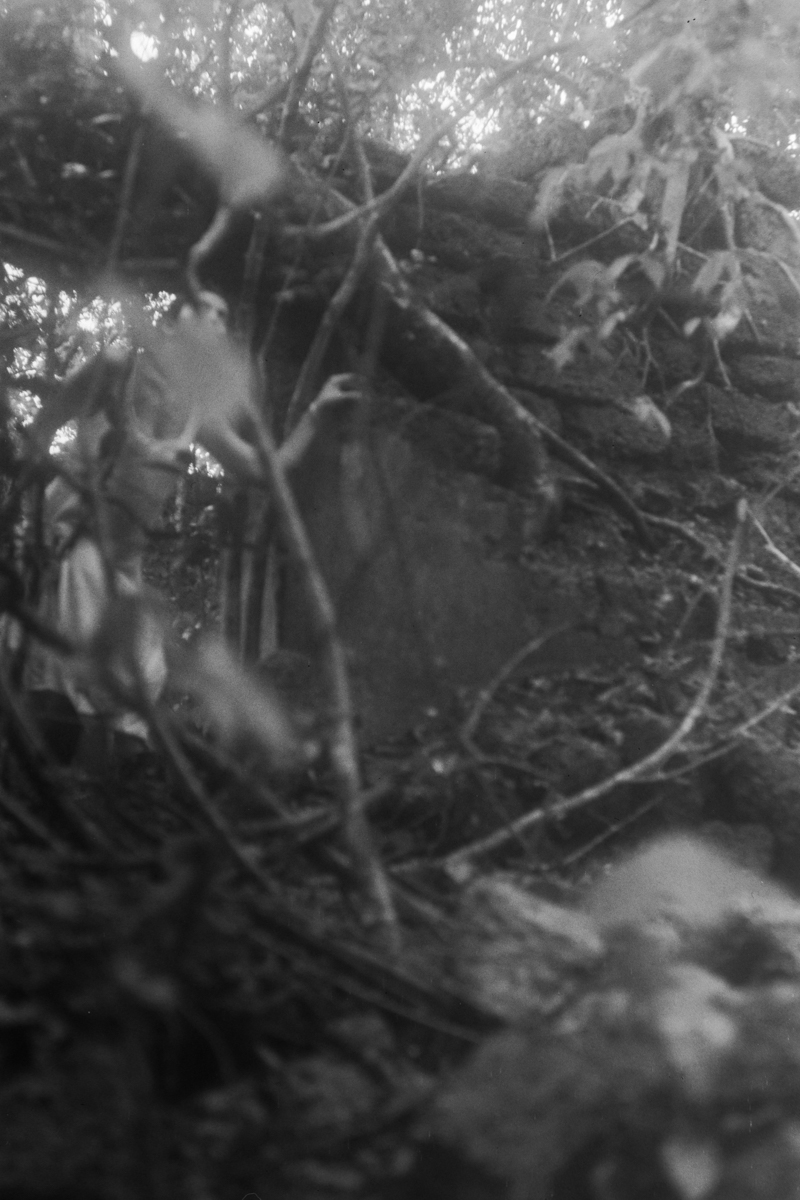 I Went Looking for Myself and Found Only Smoke