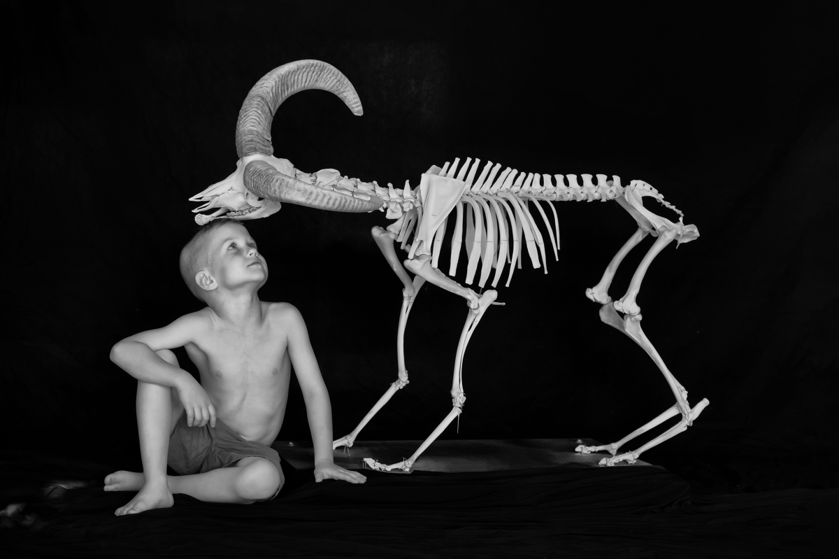 Let's give the animal a chance