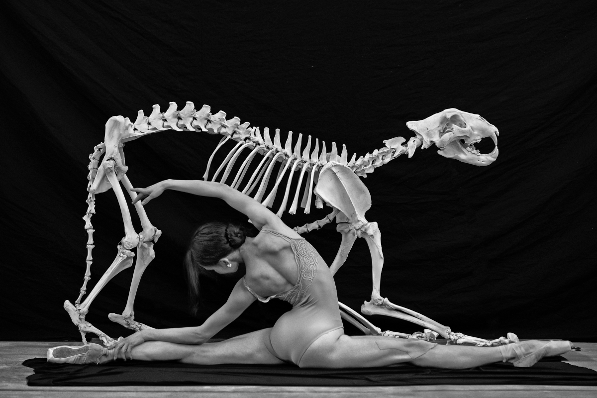 Let's give the animal a chance