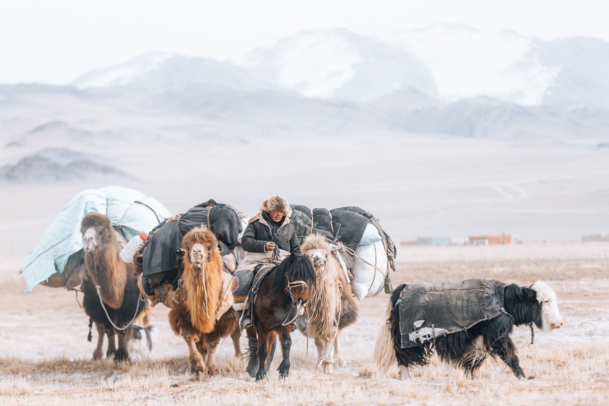 Mongolia – In the Shadow of the Altai