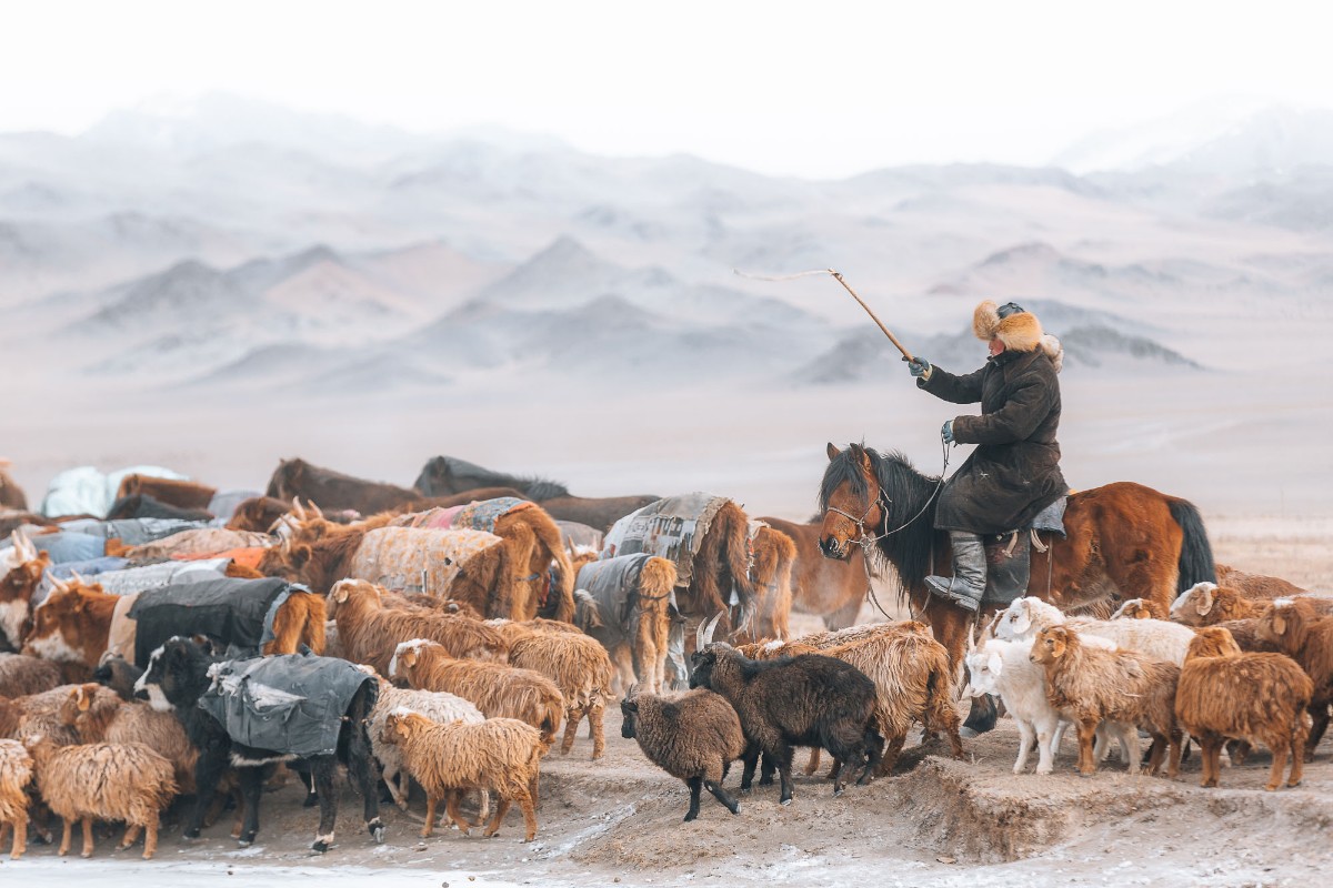 Mongolia – In the Shadow of the Altai