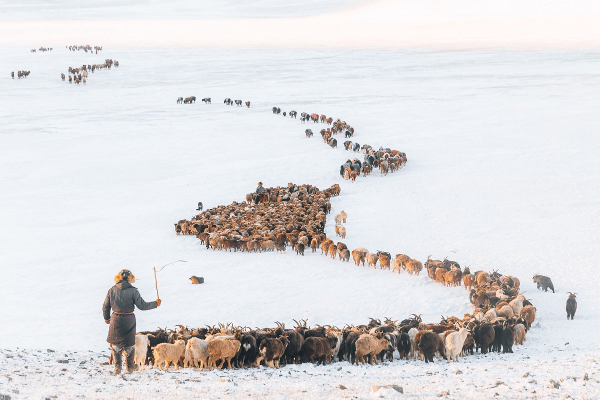 Mongolia – In the Shadow of the Altai