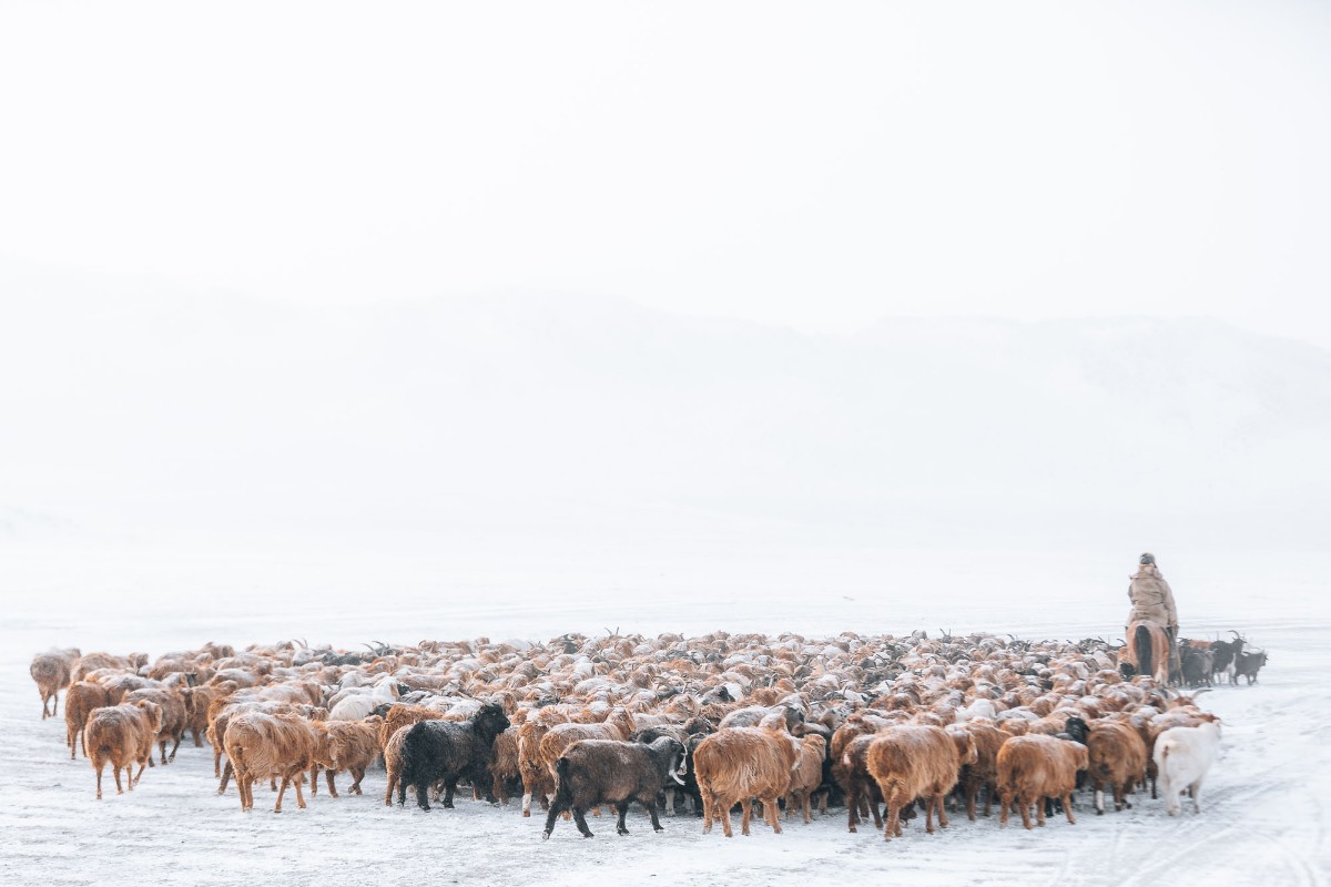 Mongolia – In the Shadow of the Altai