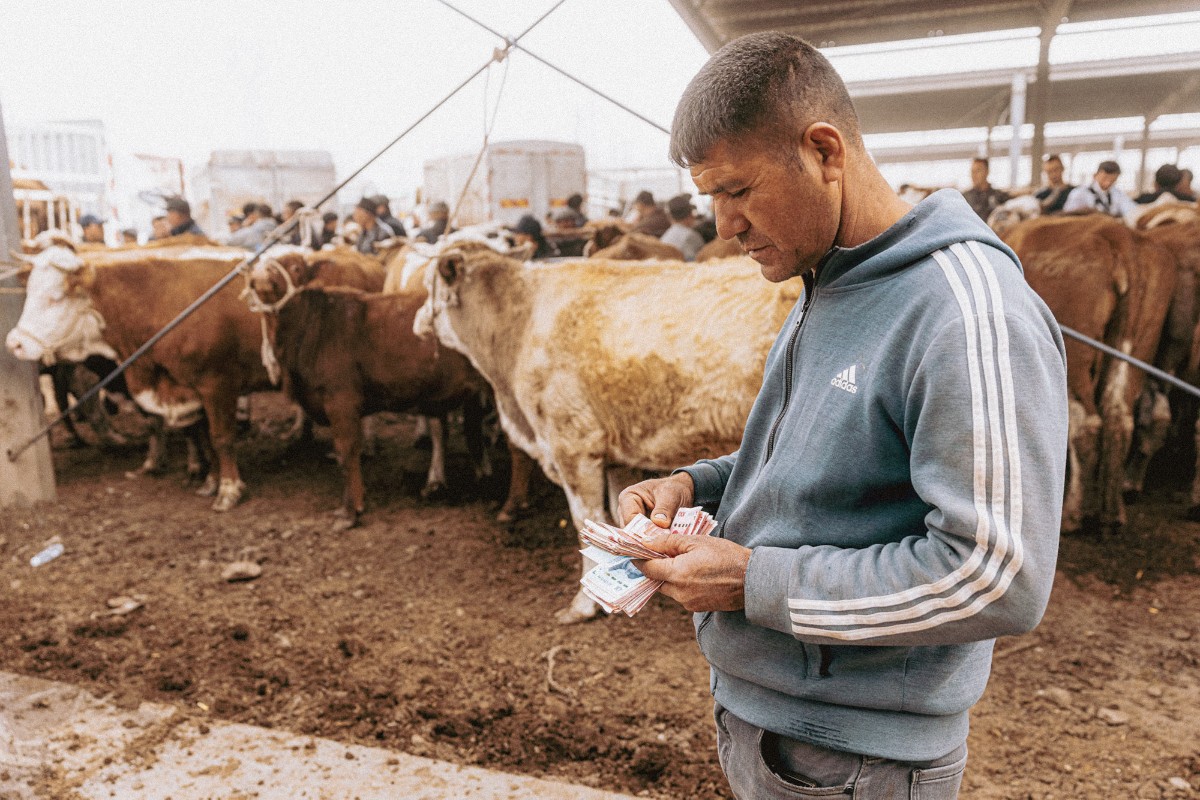 Dust and Trade: Kashgar’s Livestock Market