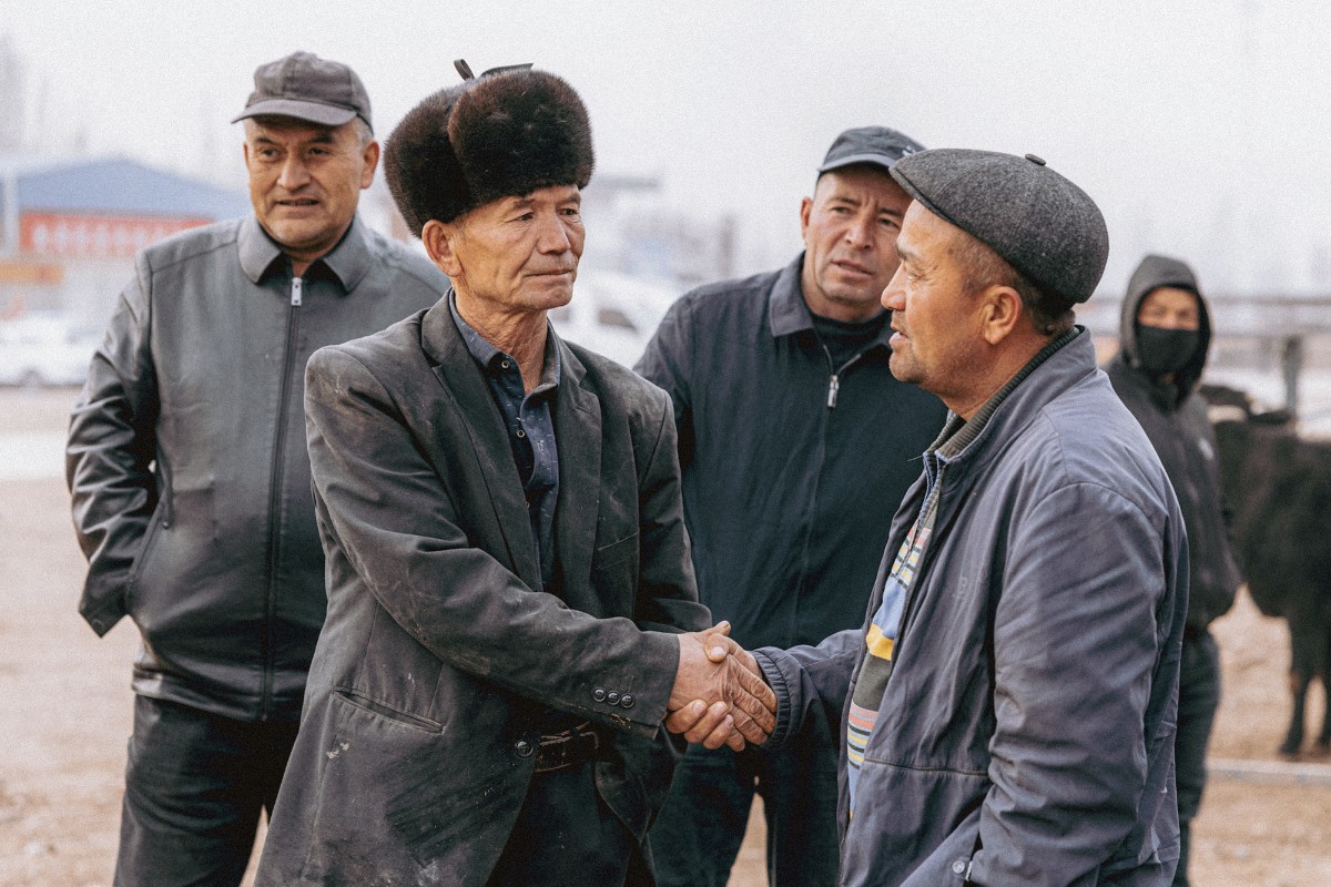 Dust and Trade: Kashgar’s Livestock Market
