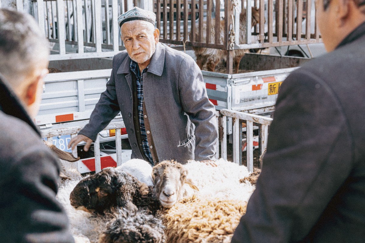 Dust and Trade: Kashgar’s Livestock Market