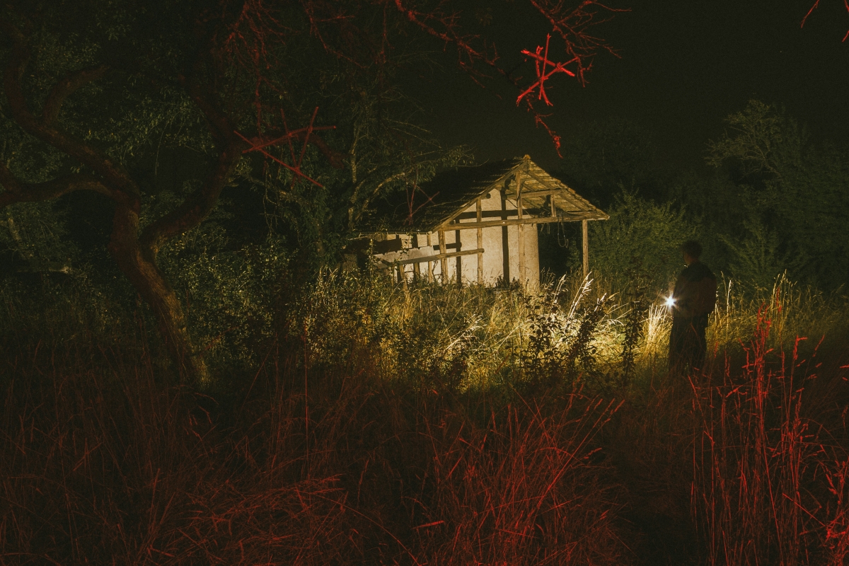 Night of Horror in the Countryside