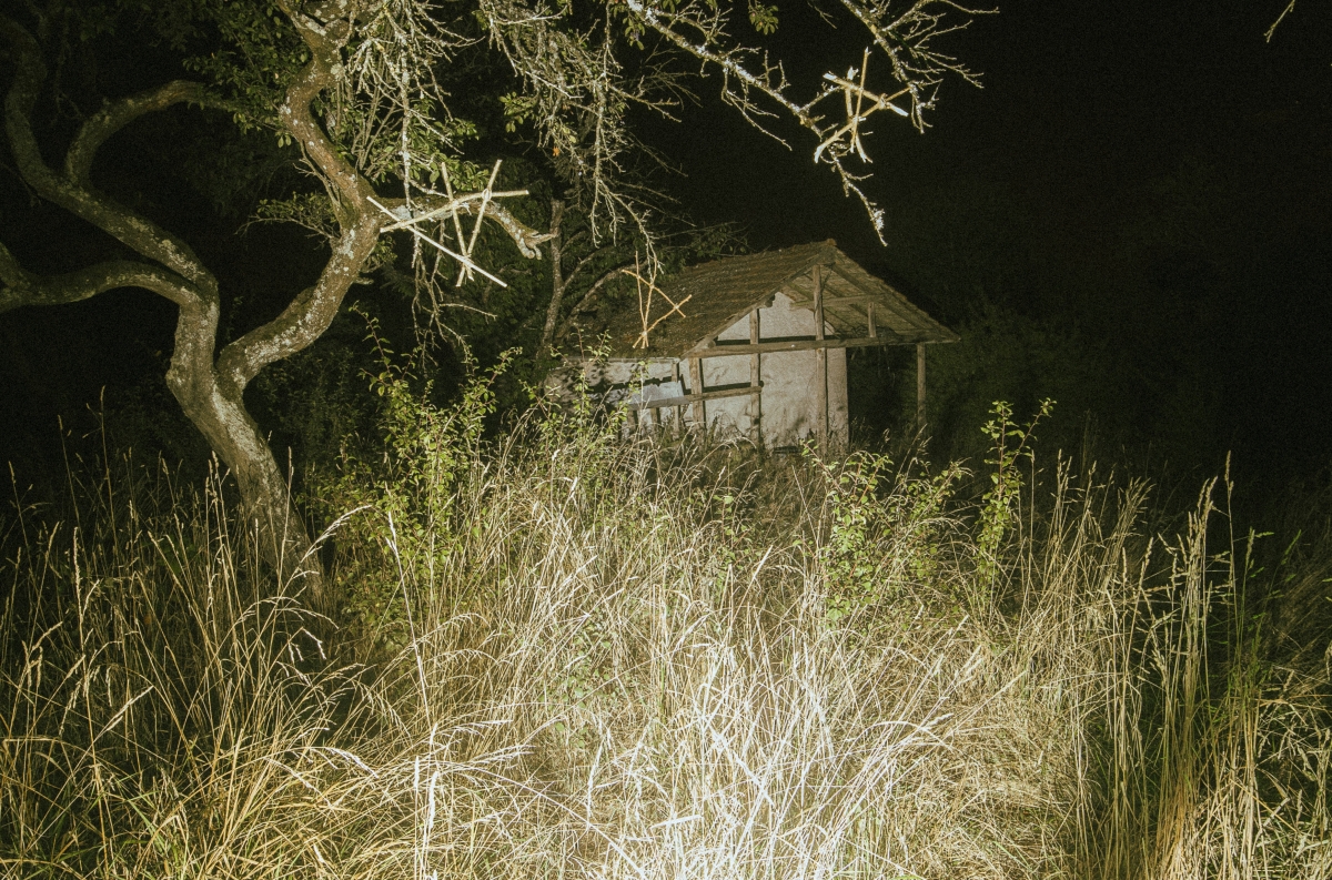 Night of Horror in the Countryside
