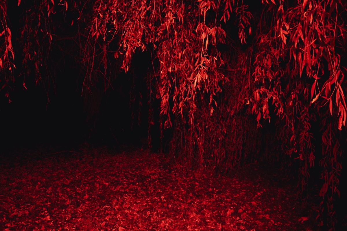 Night of Horror in the Countryside