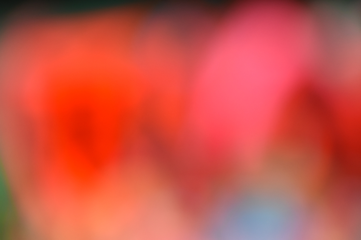 Colorful Abstraction