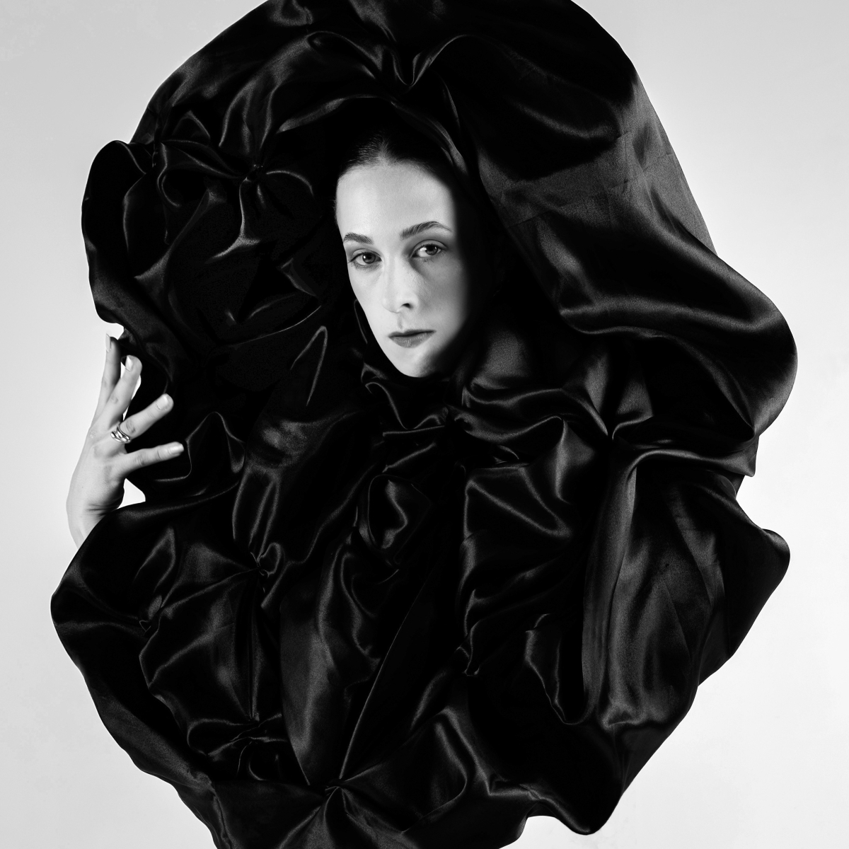 Crowned Silence