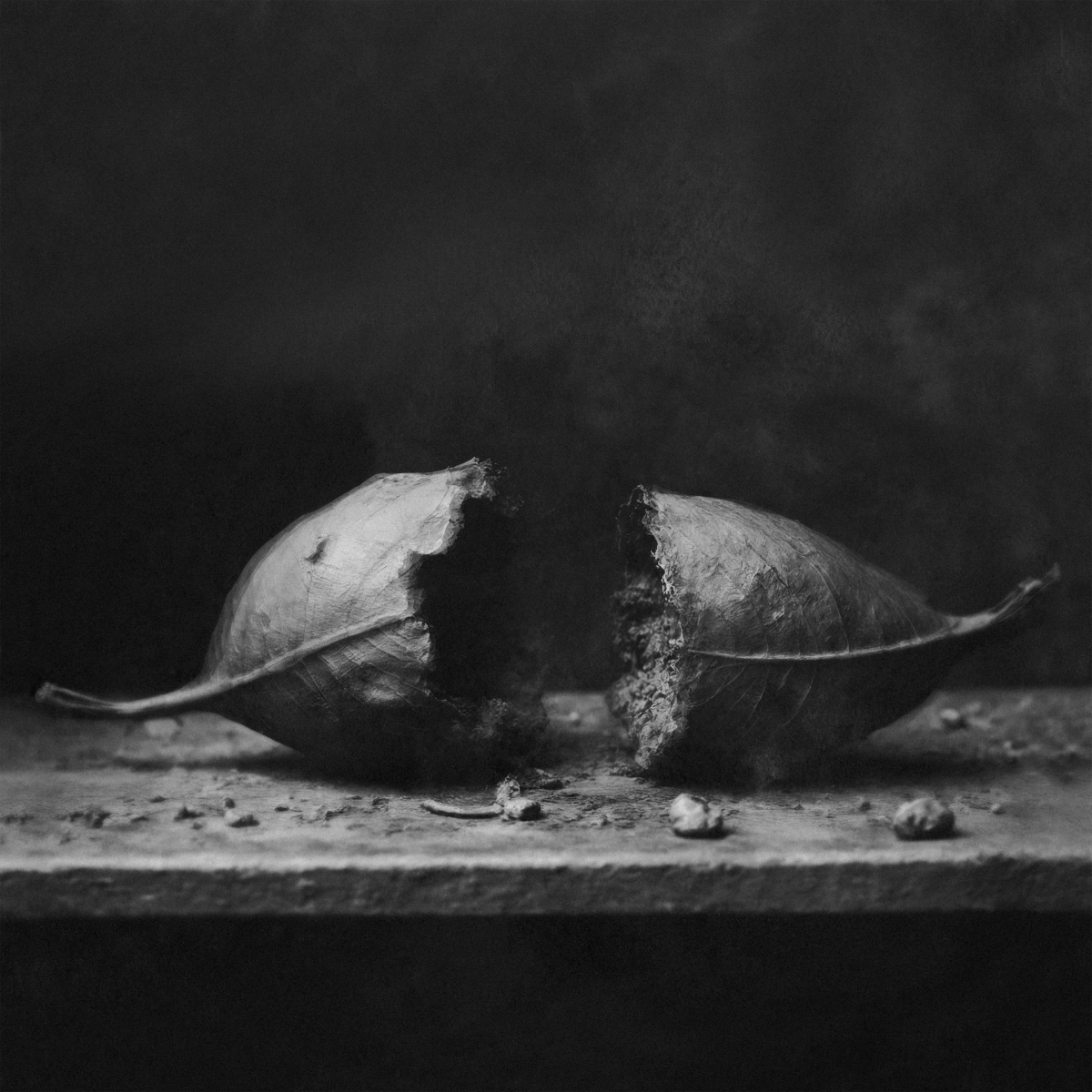 Stationary Sleepwalkers