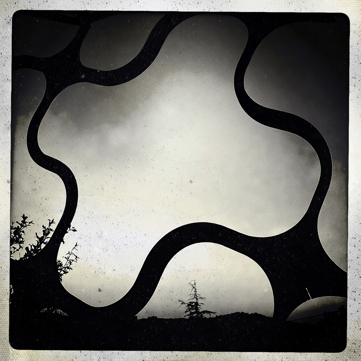 Rusty sap