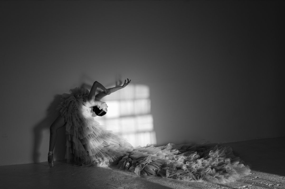 (untitled)