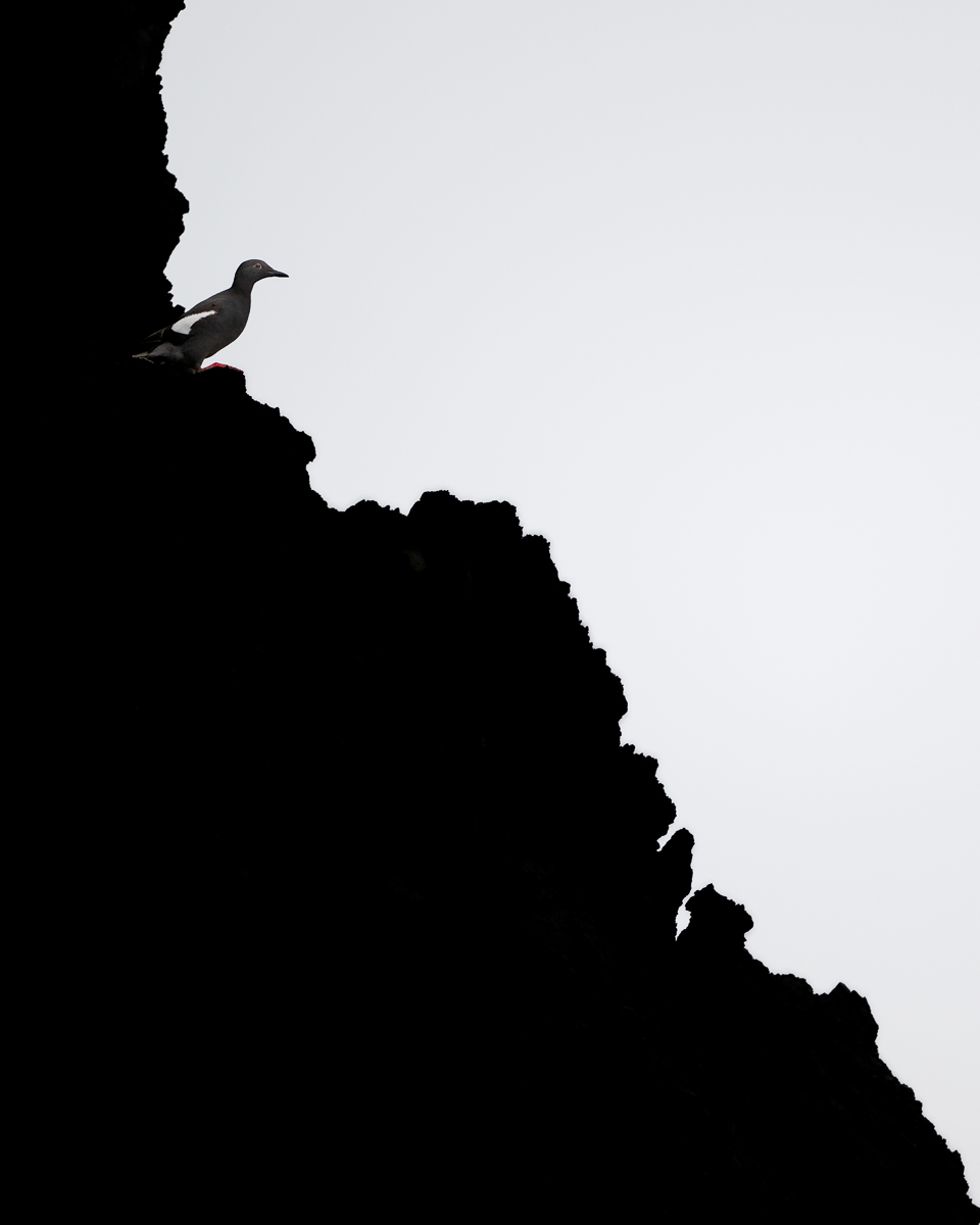 On the Edge