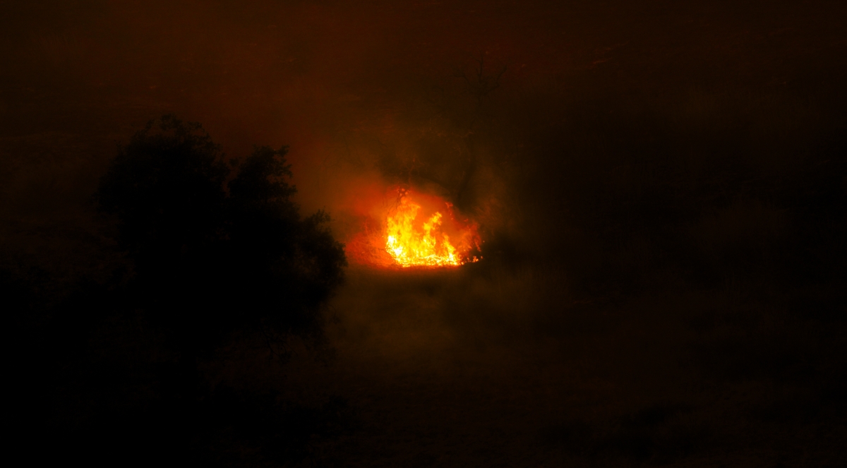 KENNETH FIRES, JANUARY 2025