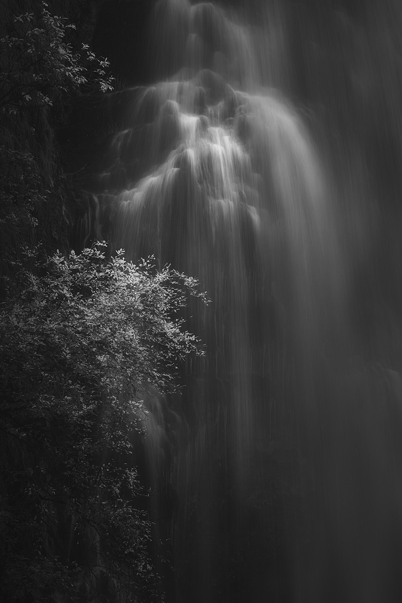 The Cold Caress