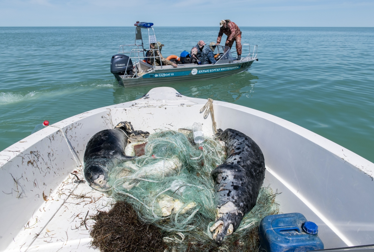 Save the Caspian