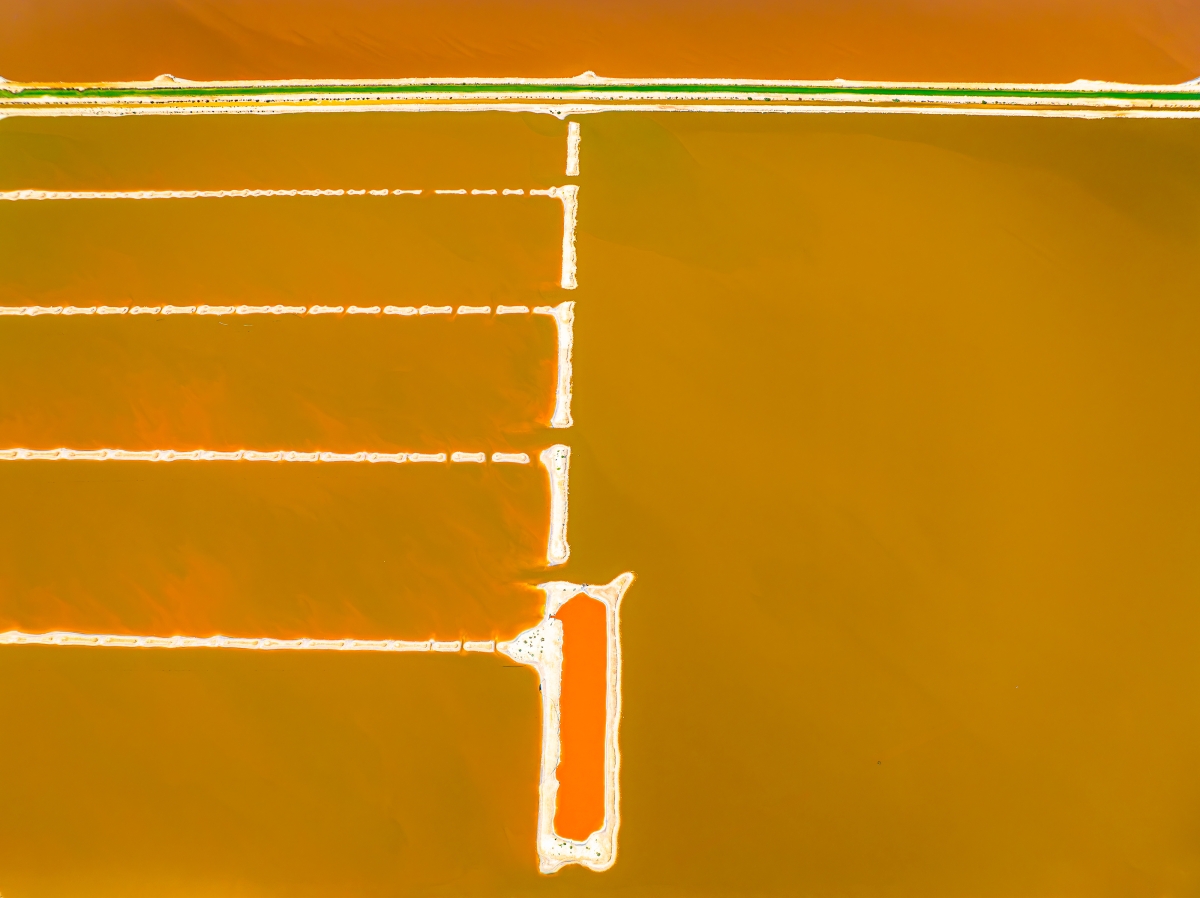 Chromatic Geometry Series: Salt Fields of Shark Bay