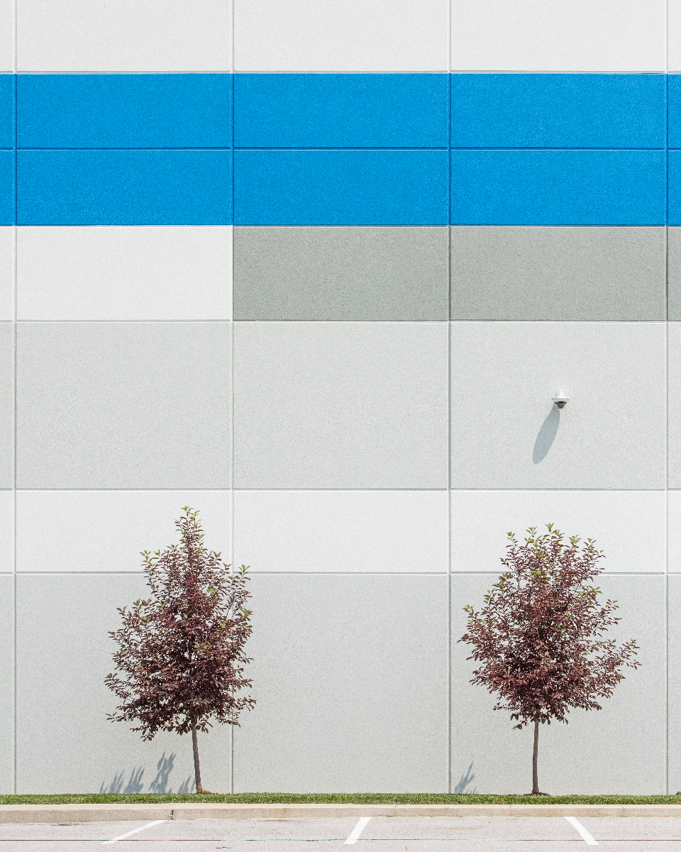 Tamed (working title)