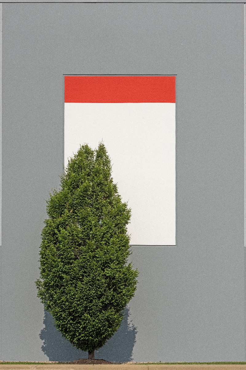 Tamed (working title)