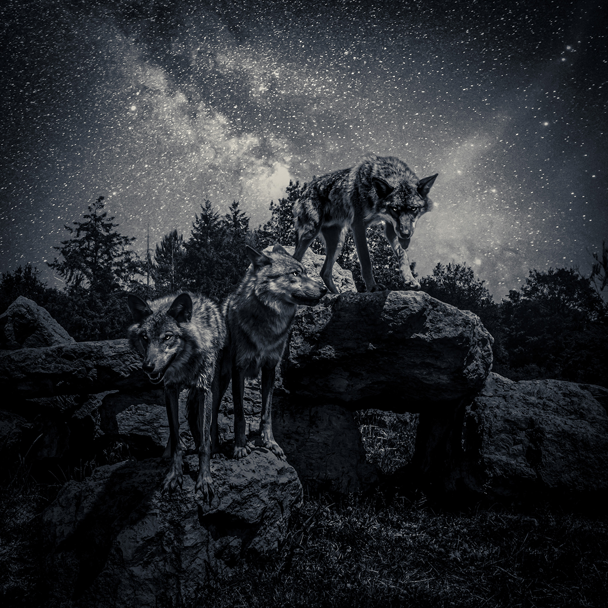 The Watchers