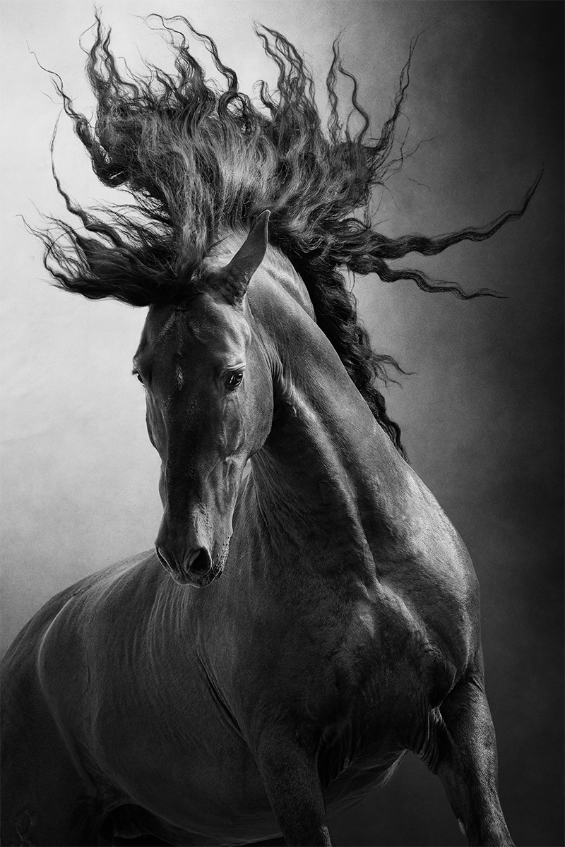 Unbridled