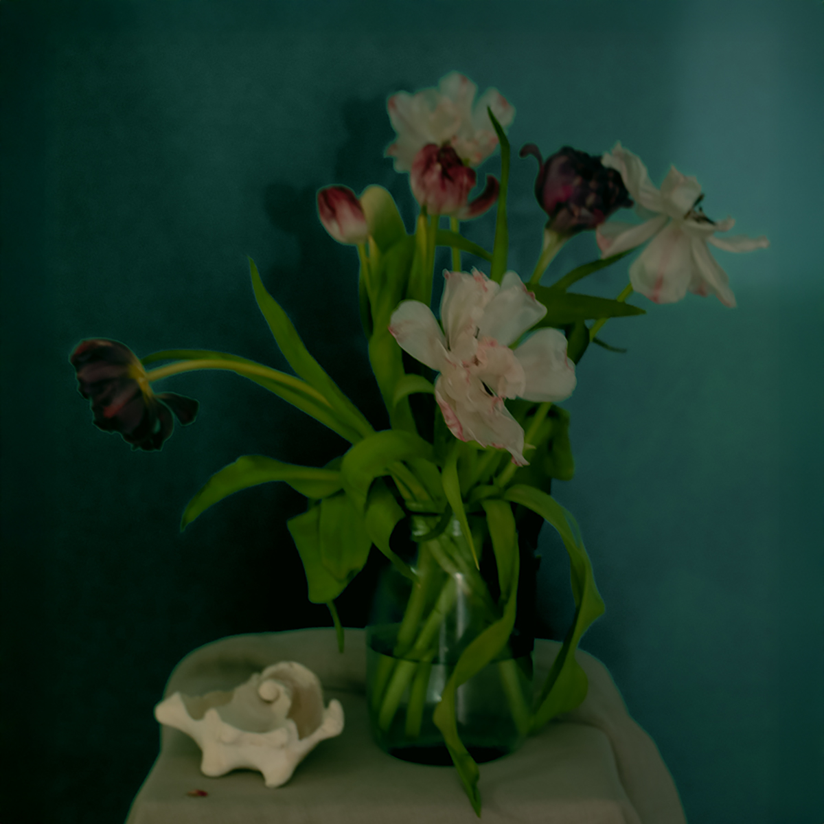 The Aroma of Twilight.