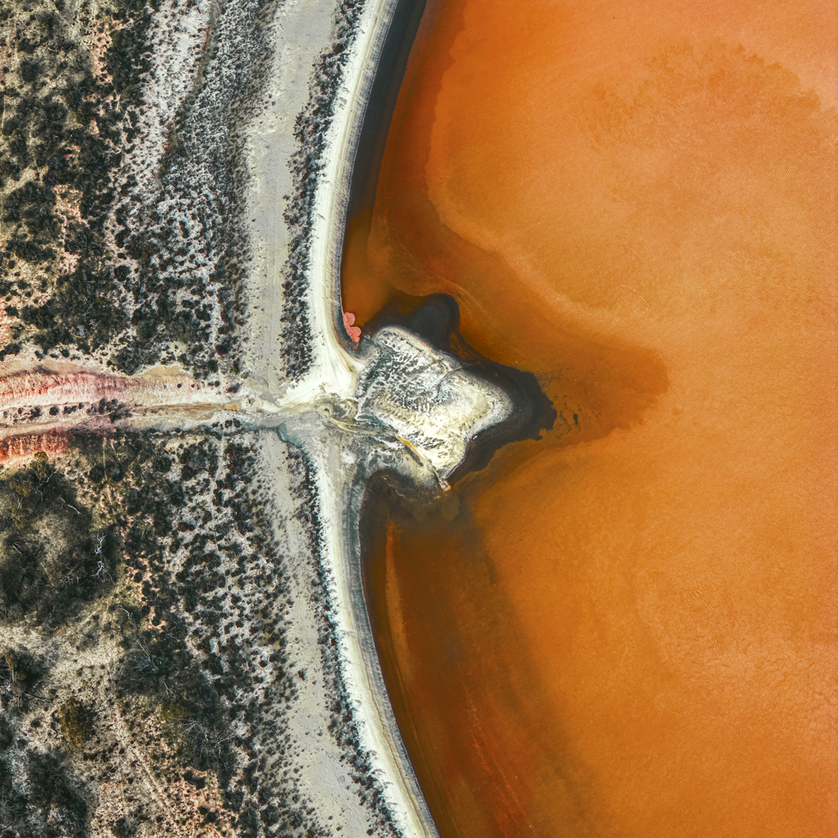 Beyond Representation: Nature Reimagined