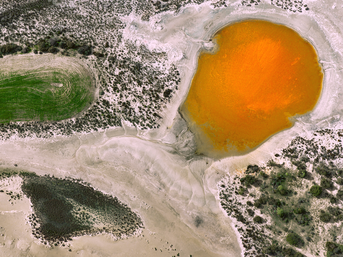 Beyond Representation: Nature Reimagined