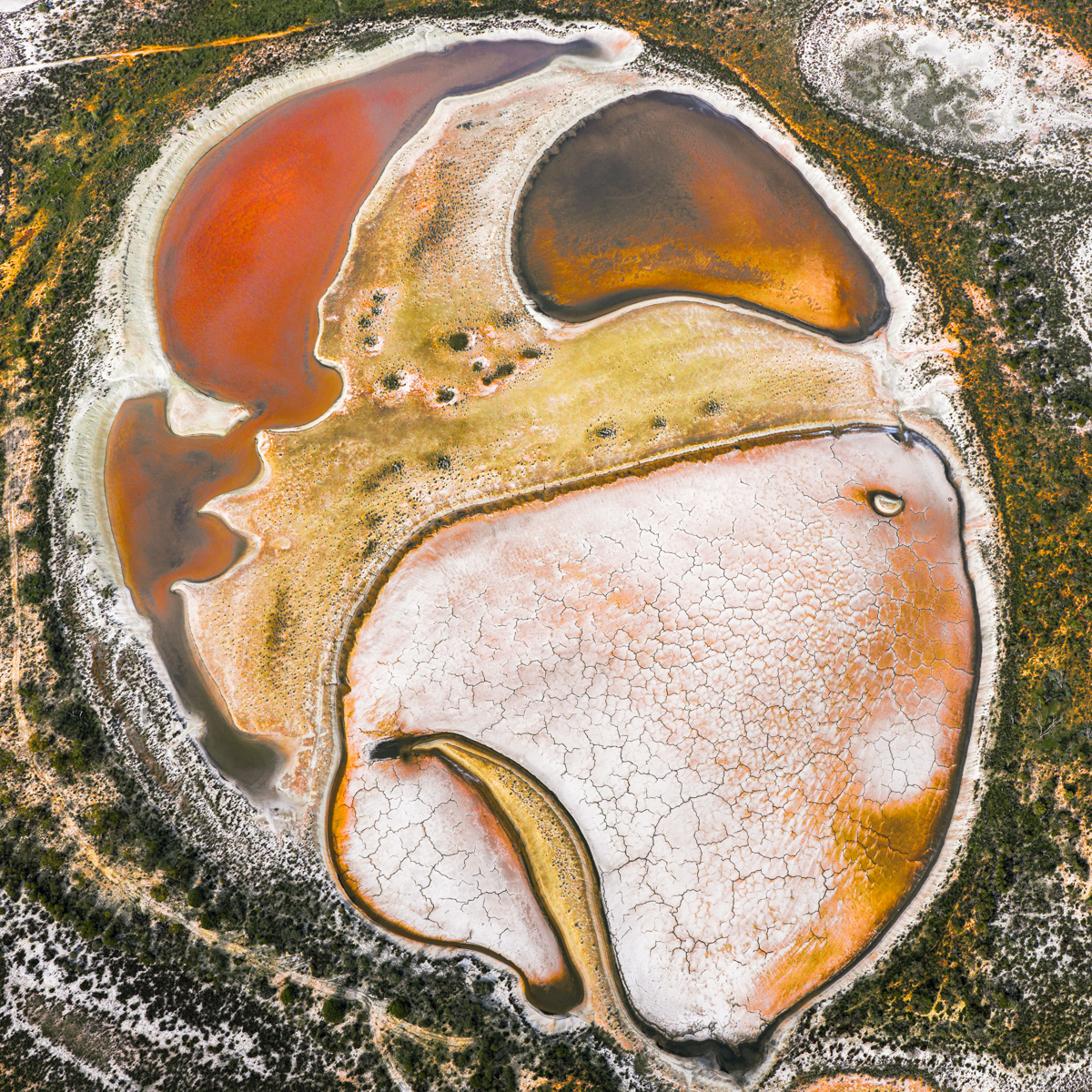 Beyond Representation: Nature Reimagined