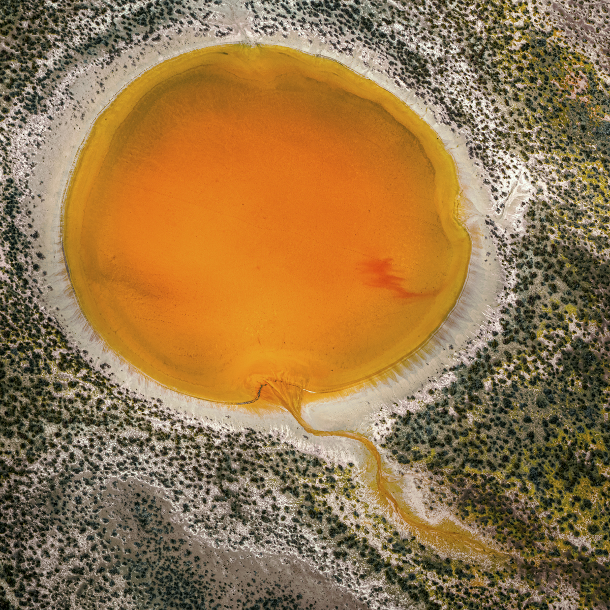 Beyond Representation: Nature Reimagined