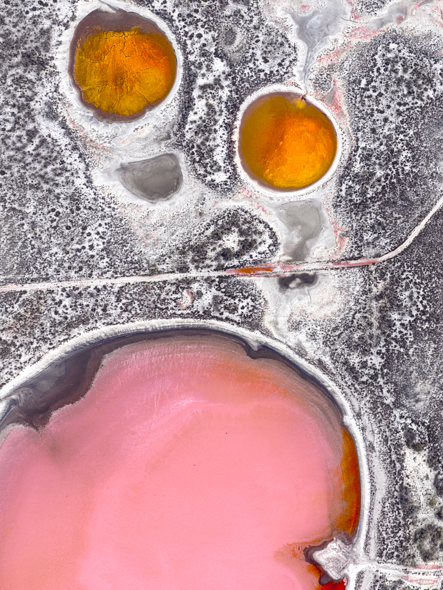 Beyond Representation: Nature Reimagined