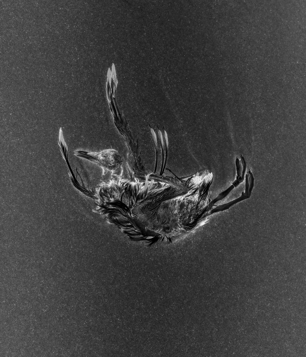 The Weight of Silence