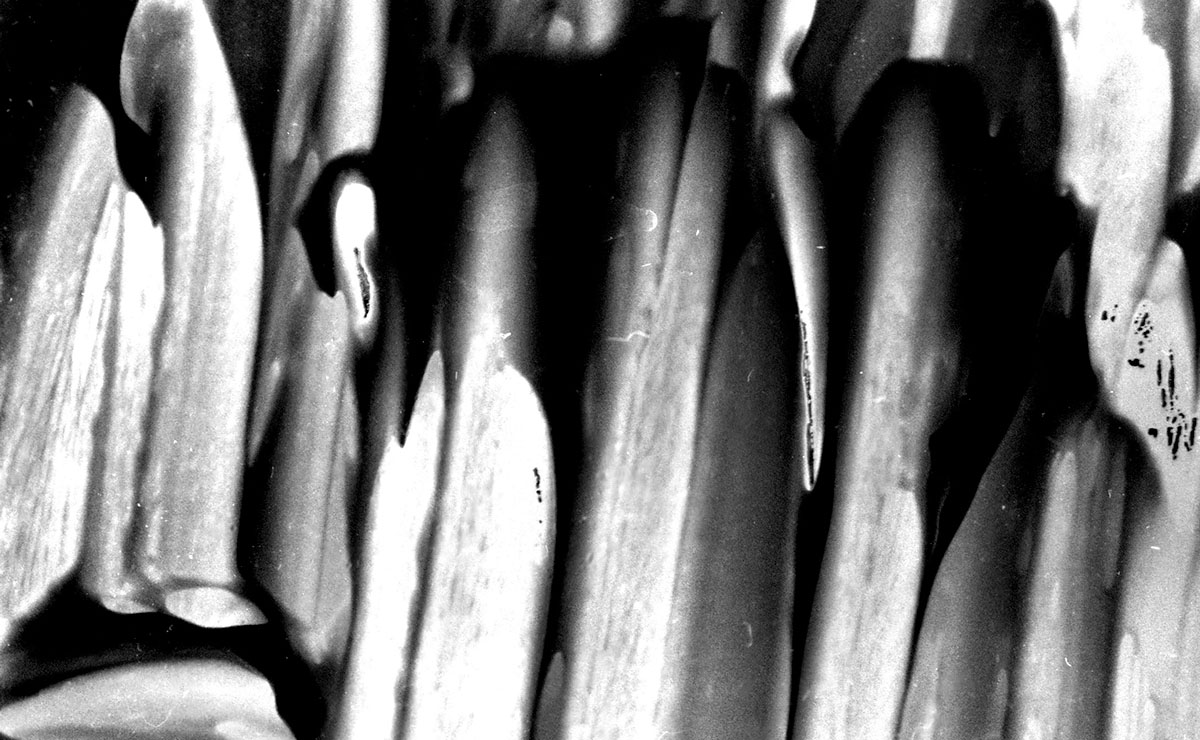 Unintended Landscapes