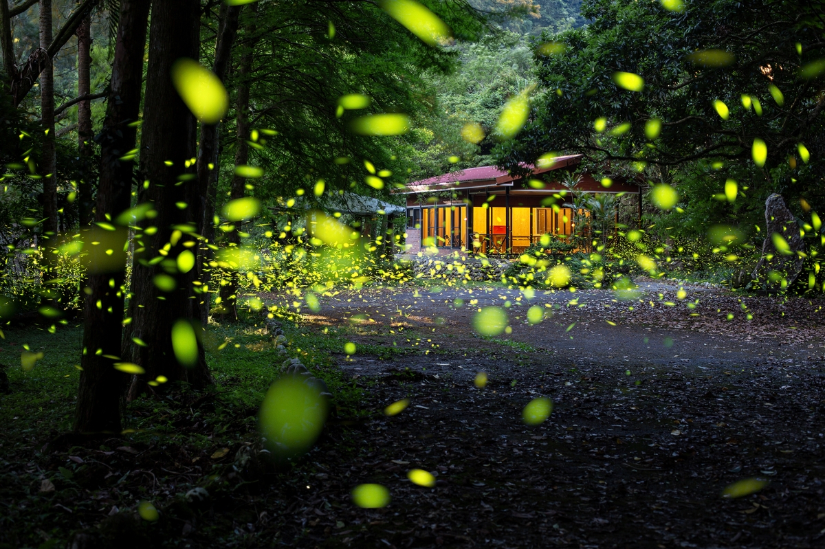 Summer Night Dance at the Retreat