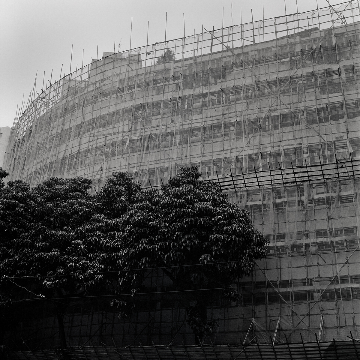 The Scaffoldings in Vanish