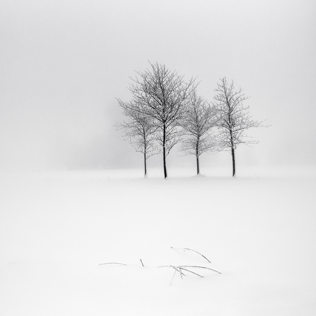 Winter square