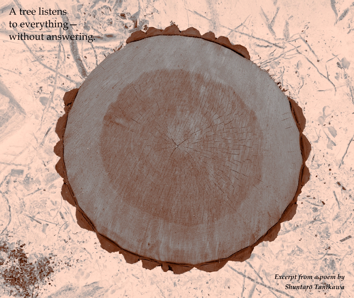 In the Grain of Time