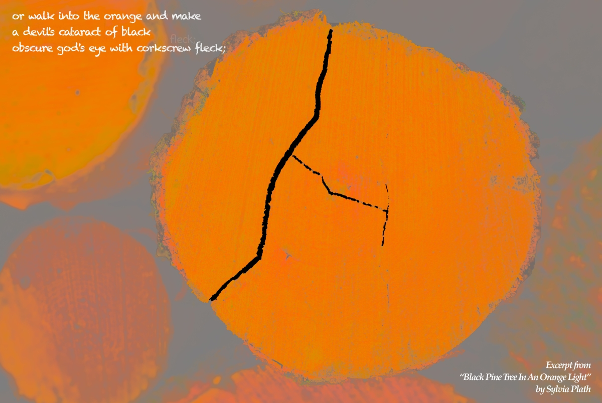 In the Grain of Time